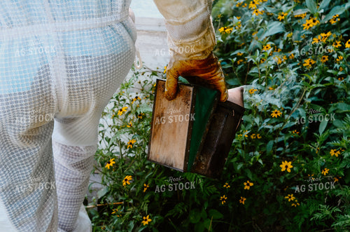 Beekeeper Handling honey bees 125035