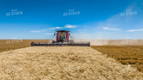 Wheat Harvest 199057