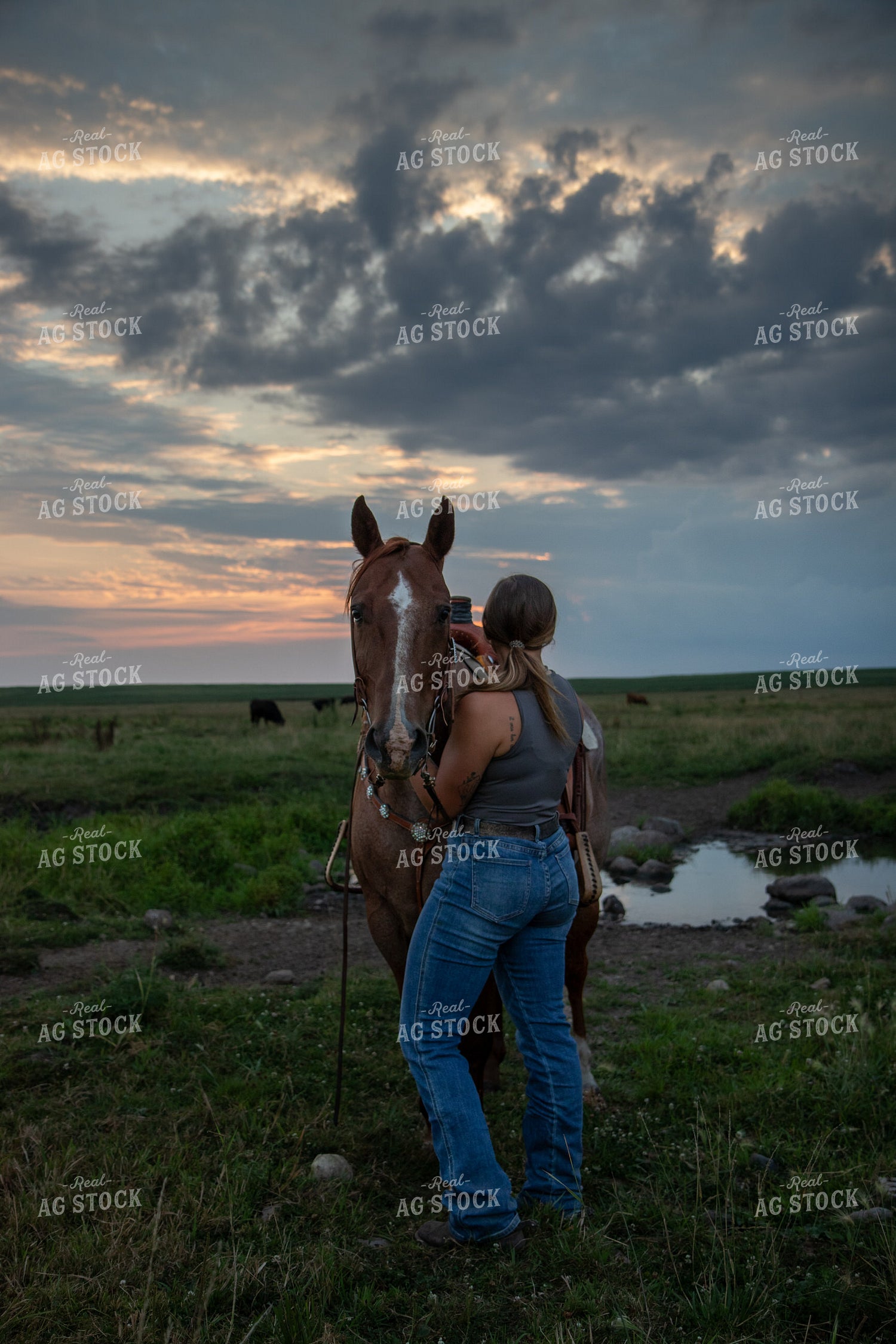 Horse with Caretaker in Pasture 67489