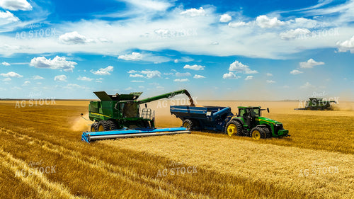 Wheat Harvest 199035