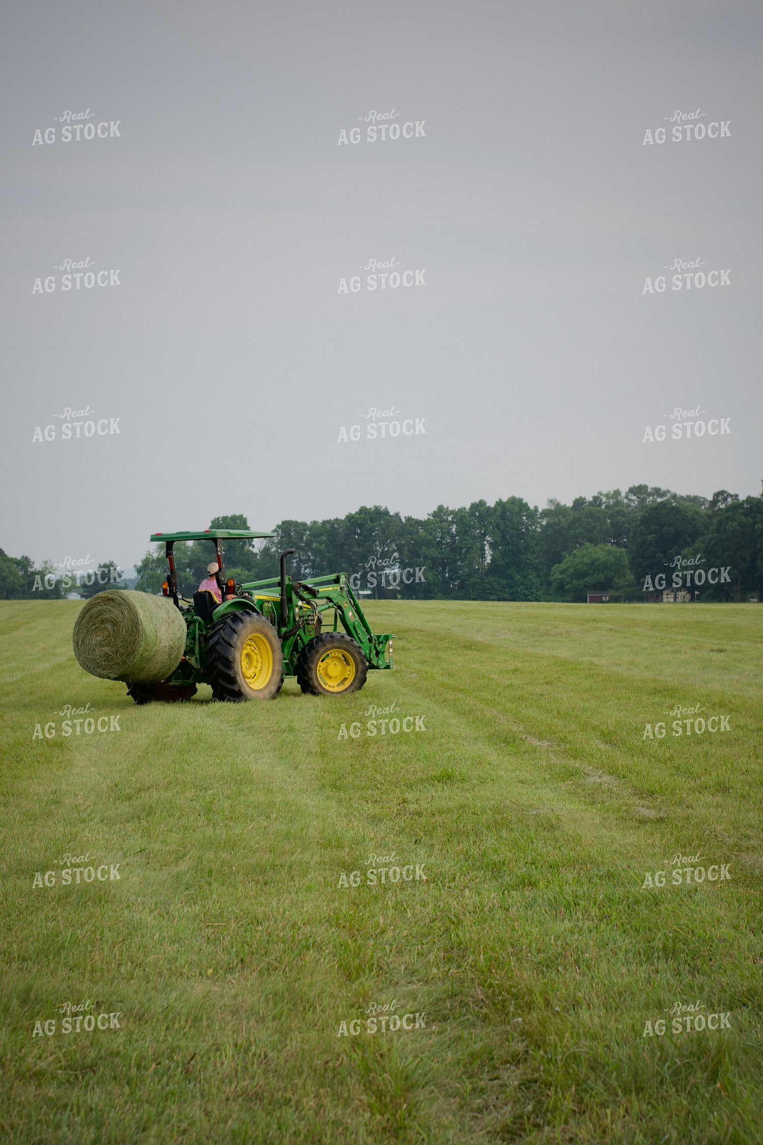 Putting Up Hay 251163