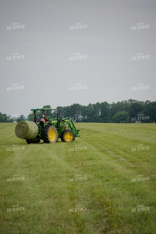 Putting Up Hay 251163