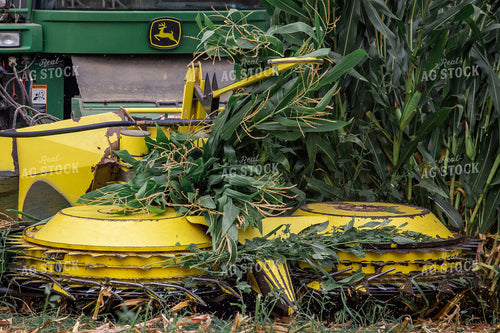 Cutting Corn Silage 270618