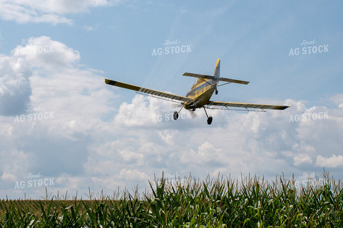 Crop Duster Spraying Corn 50144