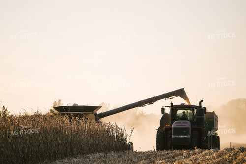 Nebraska Corn Harvest 70034