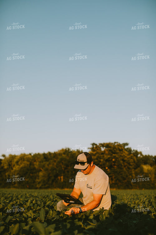 Farmer in Soybean Field with Tablet 6129