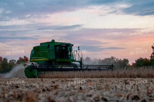 Soybean Harvest 157003