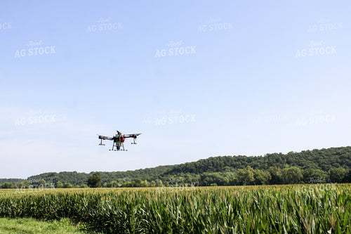 Drone Spraying Corn Field 101013