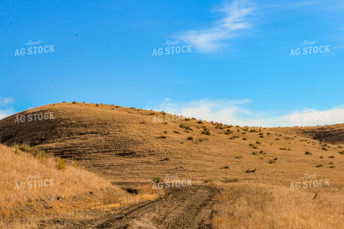 Scenic Pasture 299129
