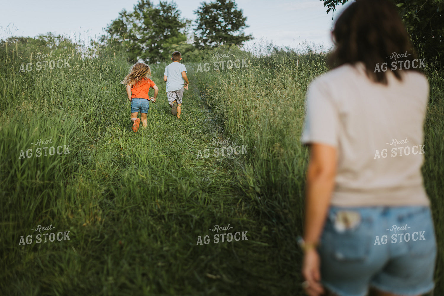 Farm Family Playing 8729