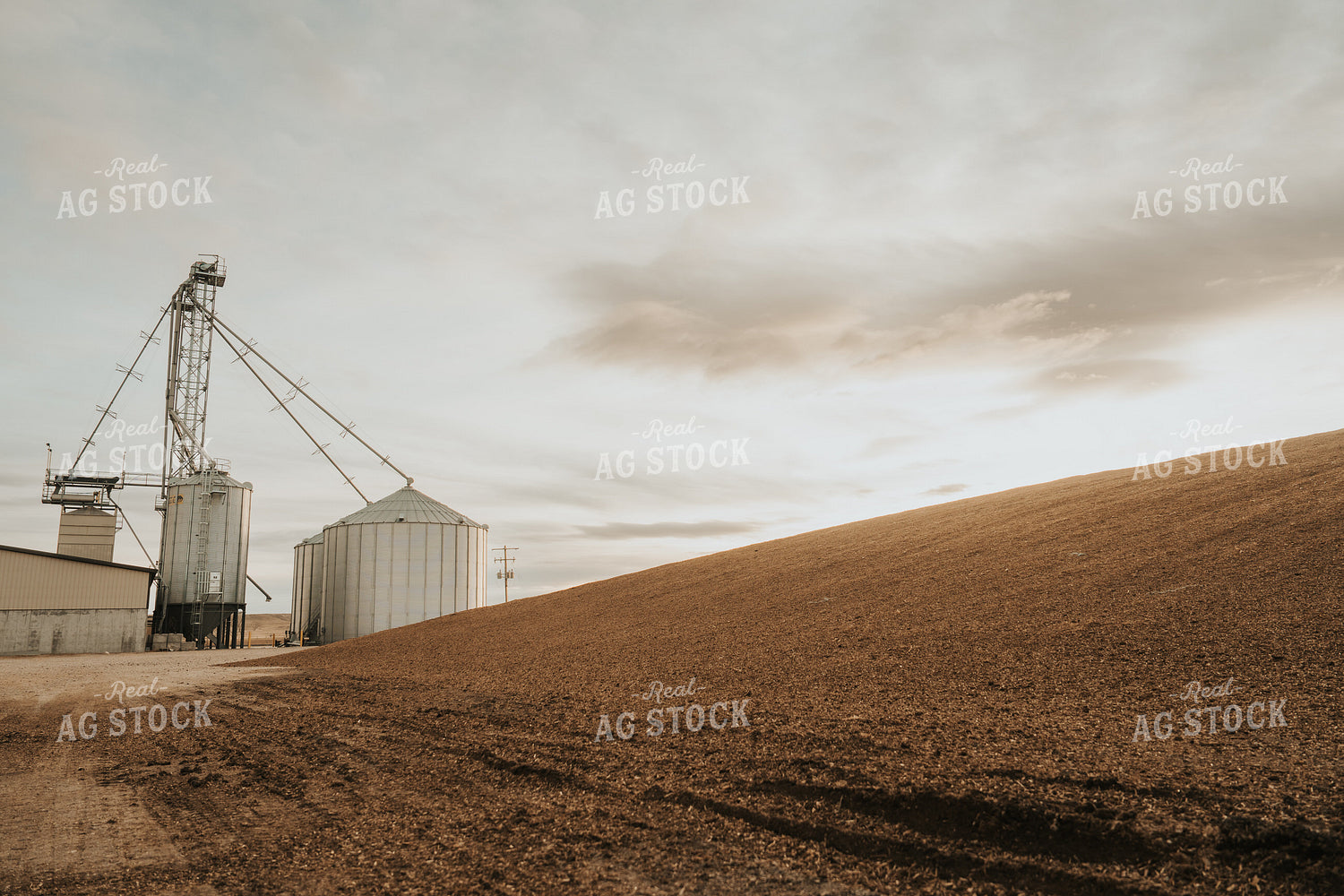 Uncovered Silage Pile 61268