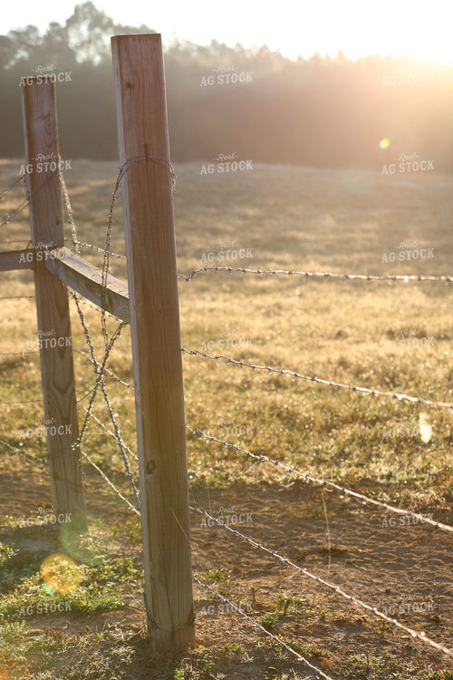 Dew on Barbed Wire Fence 262008
