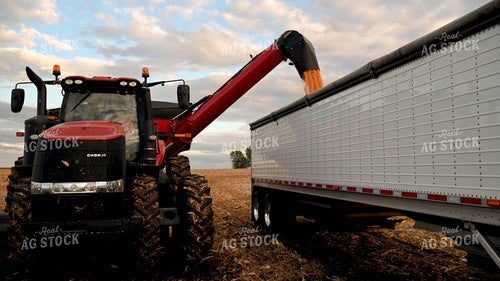 Grain Cart Unloading into Semi 25657