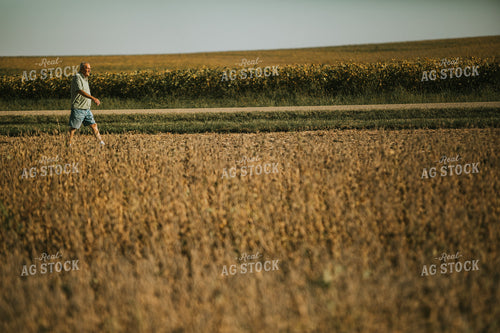 Farmer Grandpa Walking in Soybean Field 4773