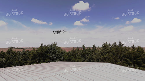 Drone Sprayer Spraying Bag Worms in Evergreens  239292