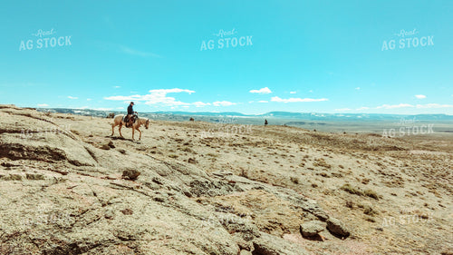 Rancher on Horseback 58111