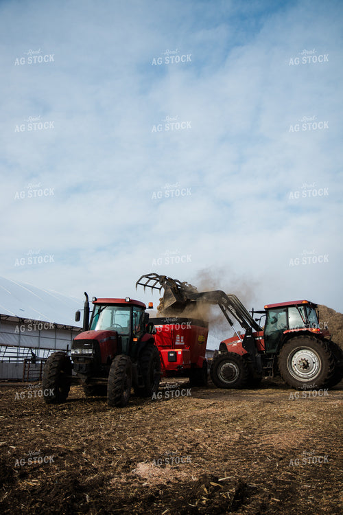 Feeding Cattle 67602