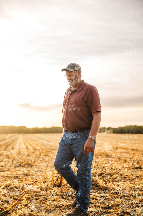 Farmer in Corn Field 115383