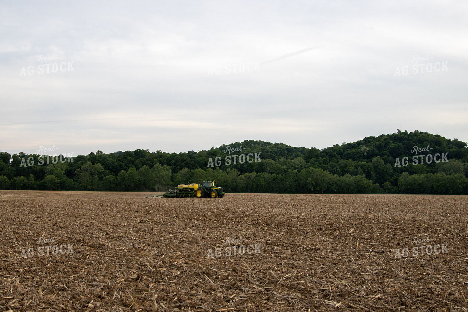 Planting on Sunny Day 52128