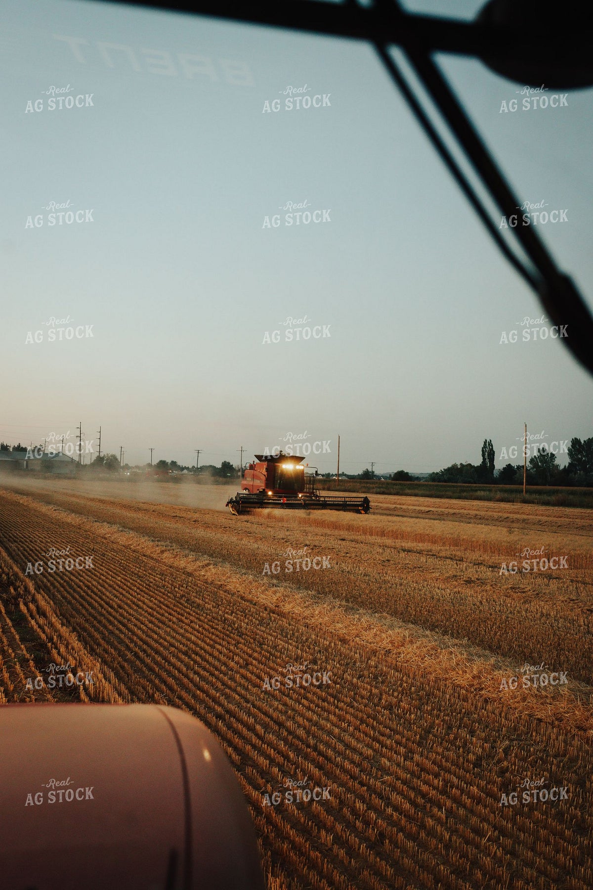 Case IH Combine Harvesting Wheat at Dusk 403012