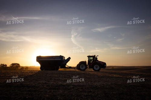 Soybean Harvest 67953