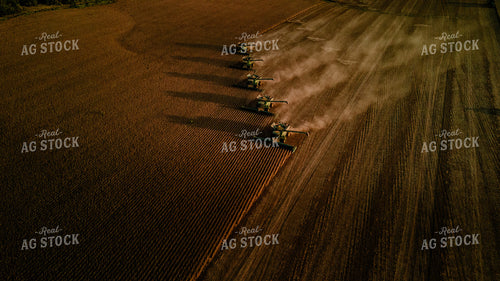 Soybean Harvest 9306