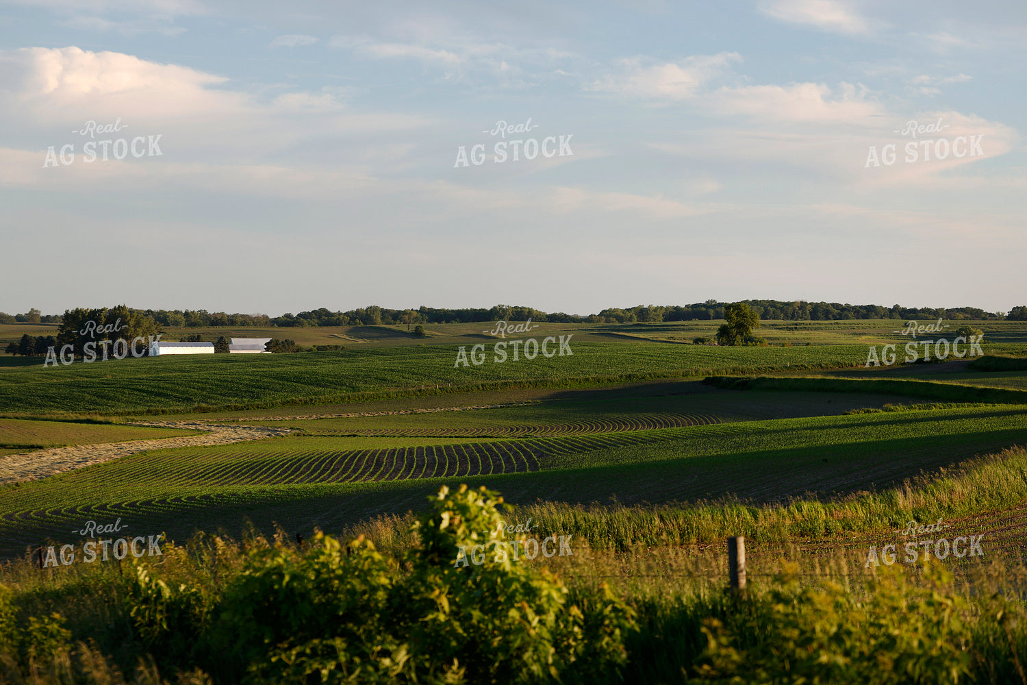Scenic Landscape 129082