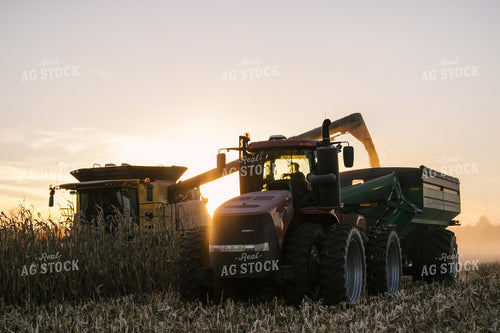Combine Unloading into Grain Cart at Sunset 70048