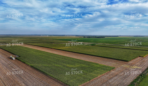Aerial of Corn Silage Harvest 141391