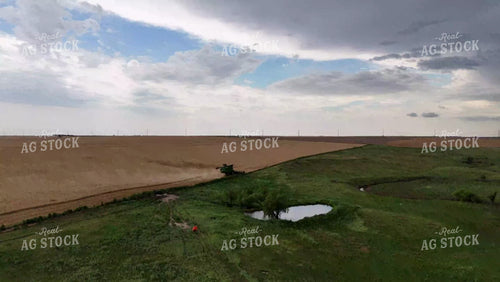 Wheat Harvest 239008