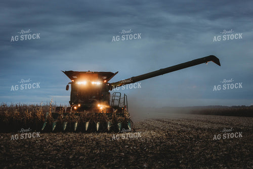 Corn Harvest 8639