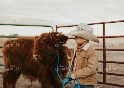 Farm Kid with Highland Calf 61224