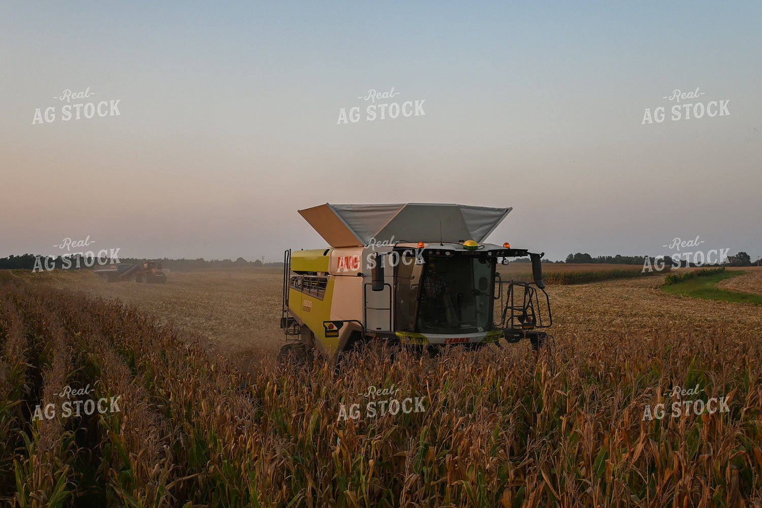 Corn Harvest 149019
