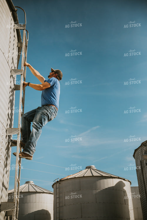 Farmer Climbing Up Grain Bin 7065