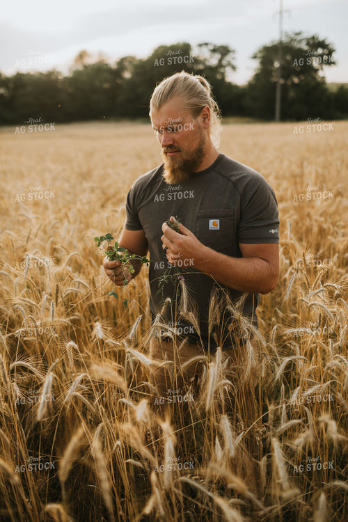 Farmer in Rye Field 5975