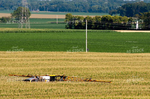 Sprayer Spraying Summer Corn 103014