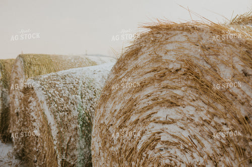 Hay Covered in Snow 61153