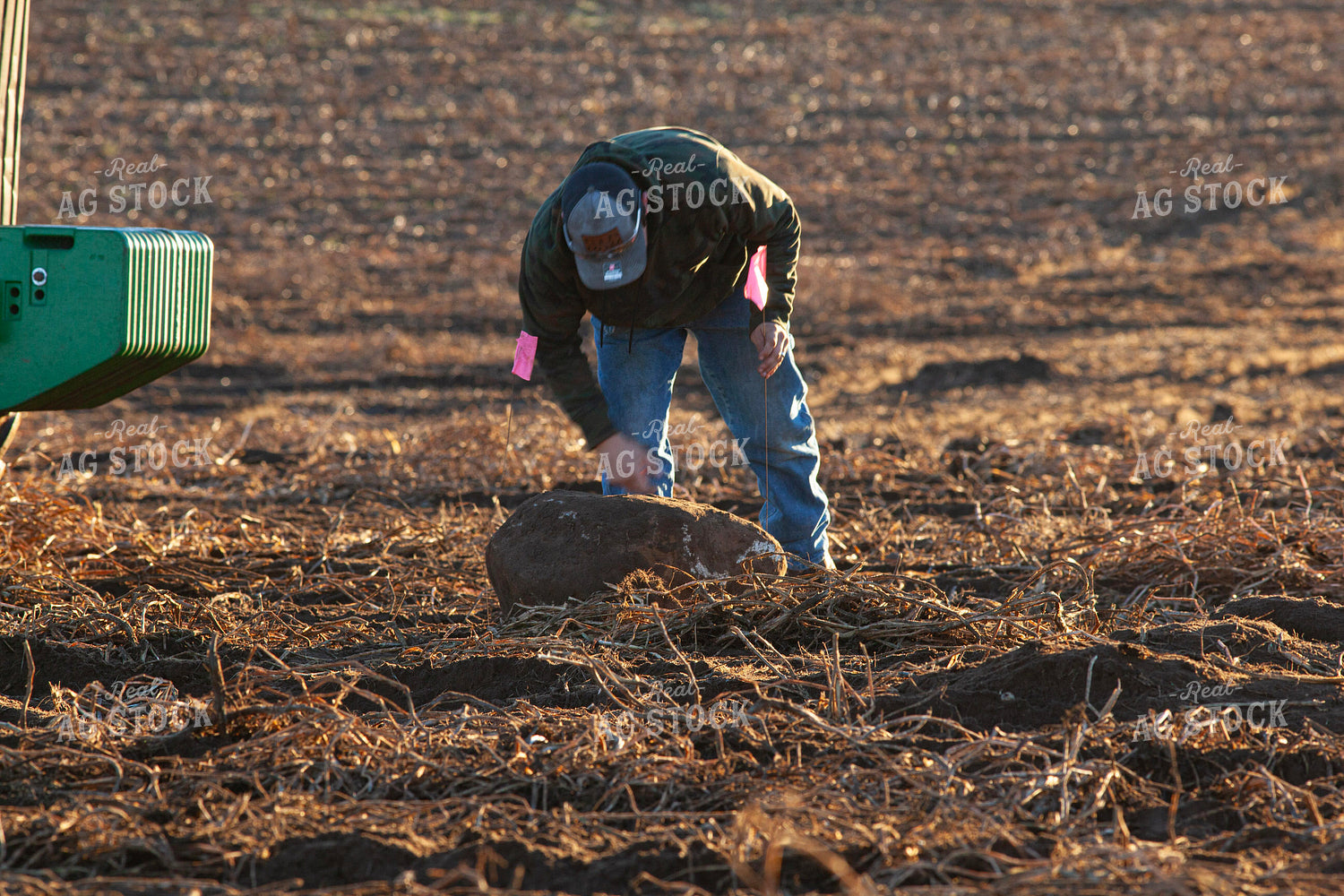 Farmer Flagging Rock in Field 132187