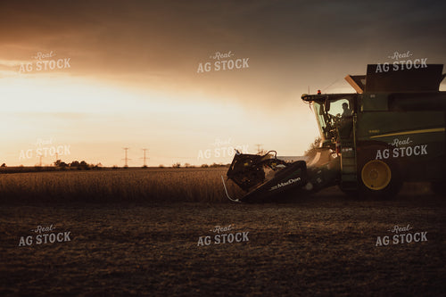 Combine Cutting Soybeans at Sunset 3443