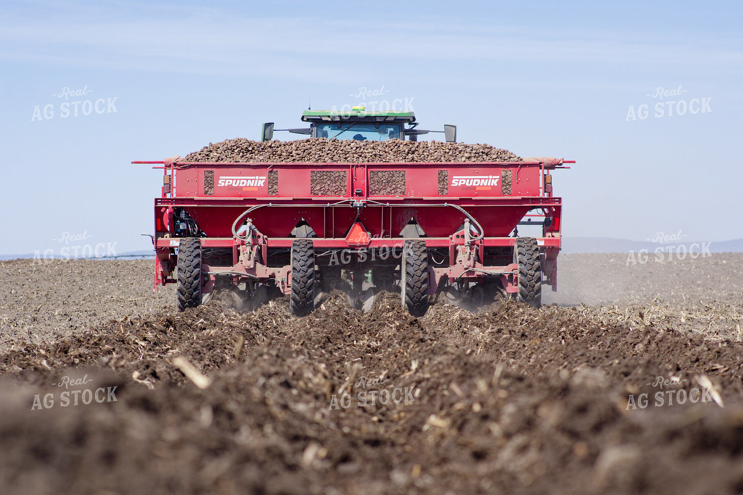 Planting Potatoes 146071