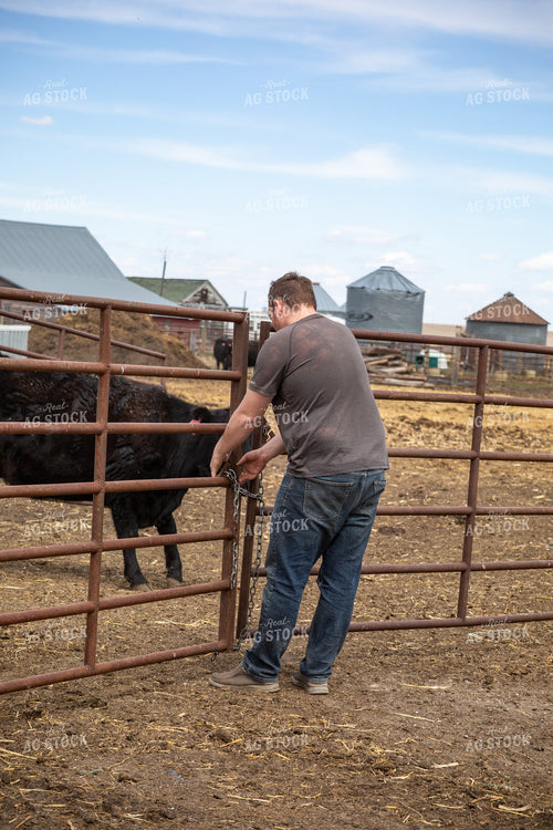 Farmer Closing Gate 155413