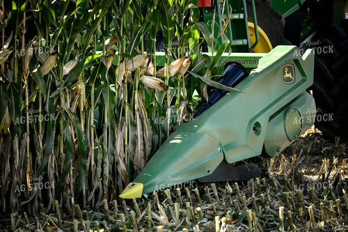 Corn Harvest 86030