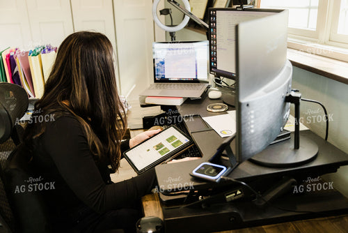 Female Appraiser Working at Computer 9426