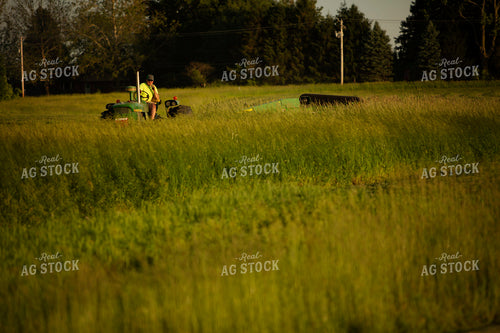 Cutting Hay 4943