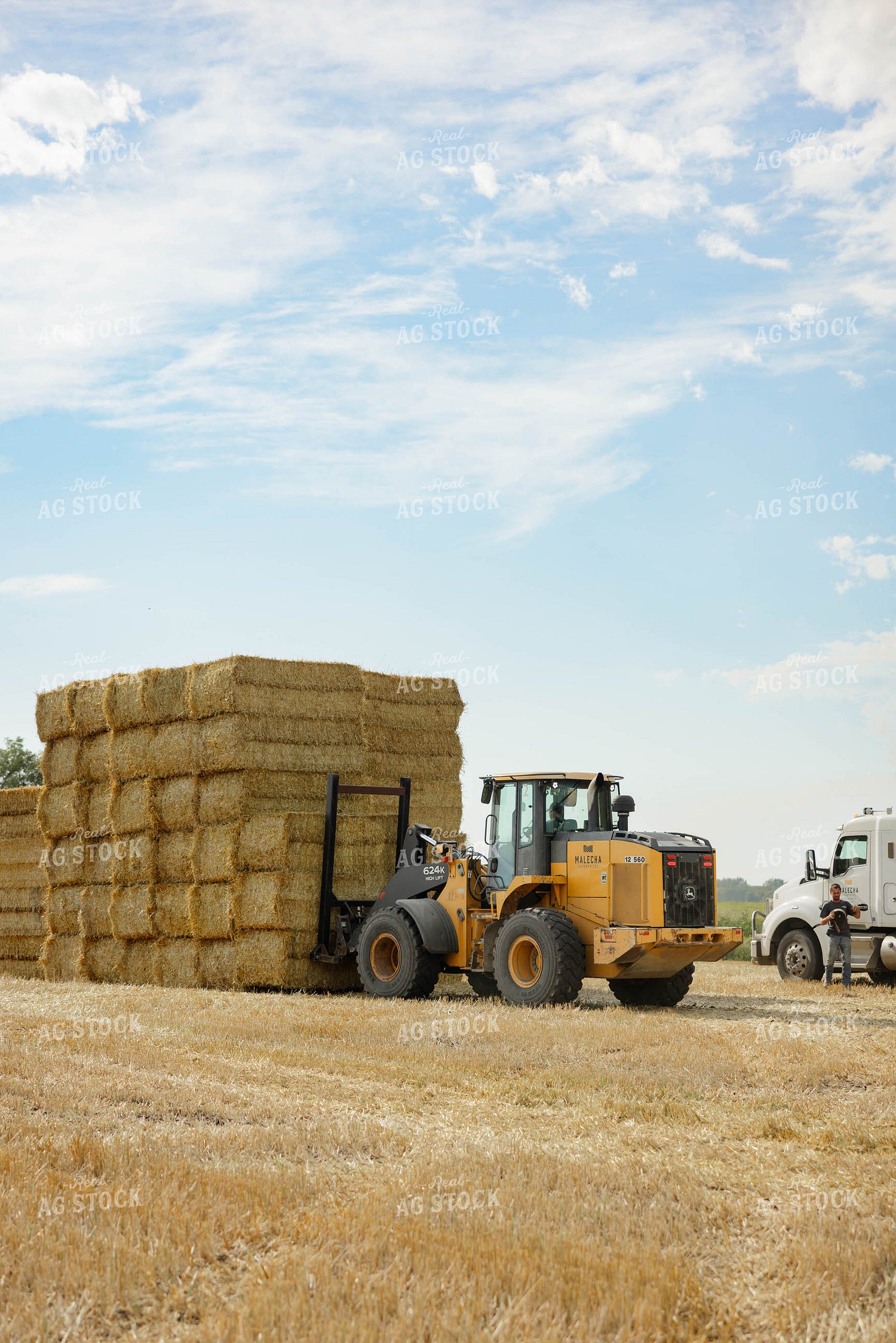 Loading Wheat Straw Bales 296081