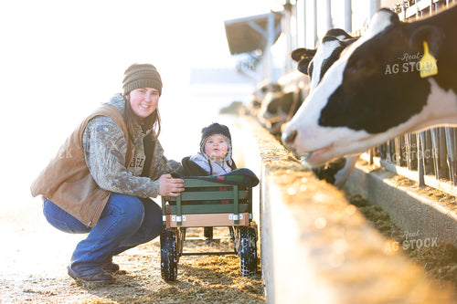 Dairy Farmer with Baby and Dairy Cows 55054