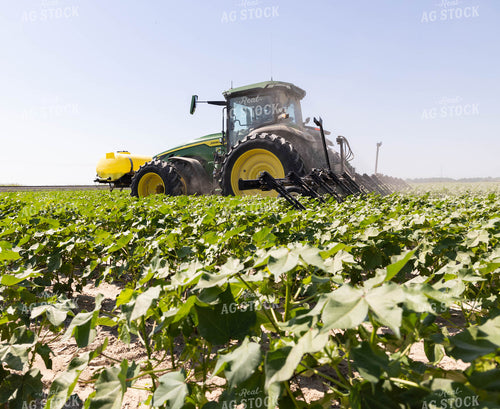 Spraying 79676