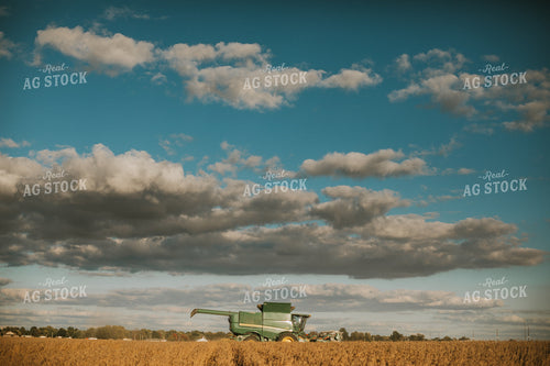 Soybean Harvest 6867