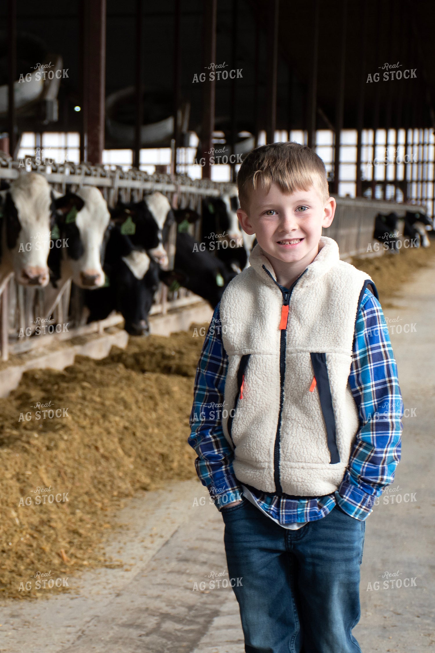Farm Kid in Dairy Barn Alley 271036