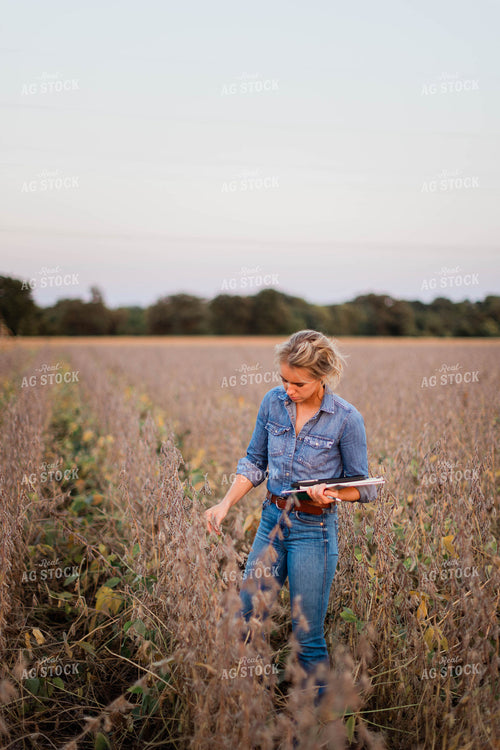 Female Agronomist Checking Beans 8356